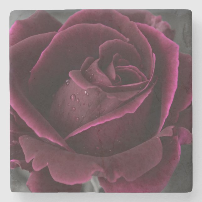 Rose Steinuntersetzer (Vorderseite)