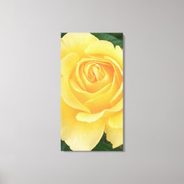 Rose Stretched Canvas Print Leinwanddruck