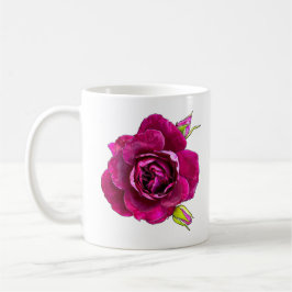 Rose Tasse