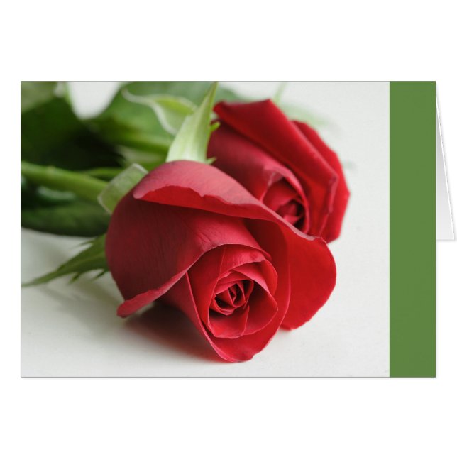 Rose tout le long (Devant horizontal)