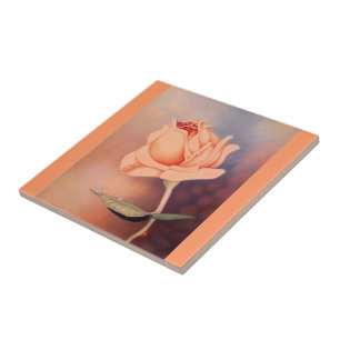 Rose Tränen Fliese