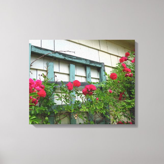 Rose Trellis - Martha's Vineyard Leinwanddruck (Vorderseite)