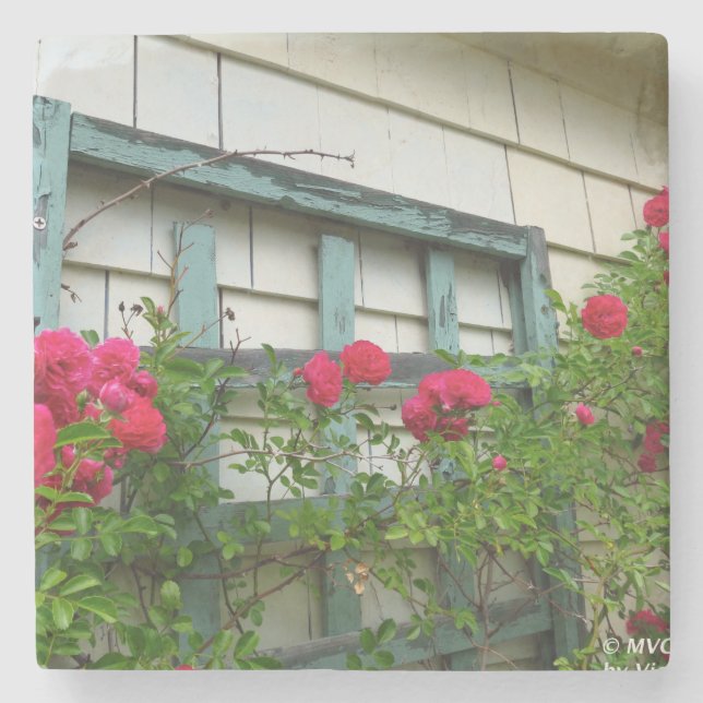 Rose Trellis - Martha's Vineyard Steinuntersetzer (Vorderseite)