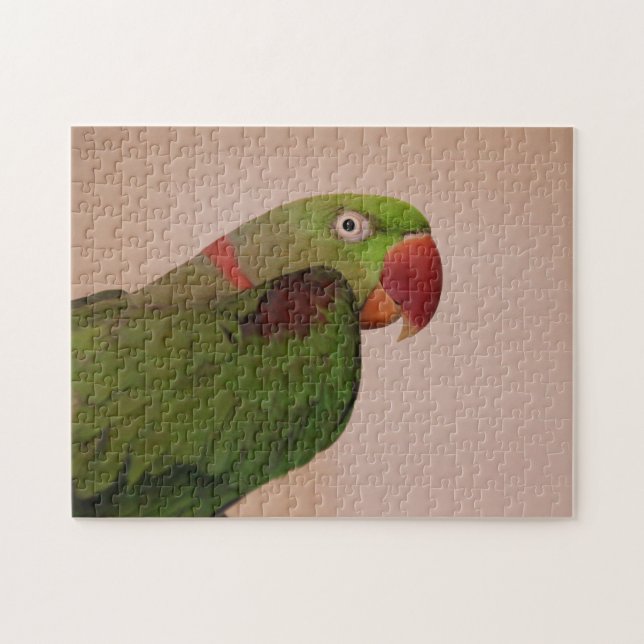 Rose umringtes Parakeet Foto Jigsaw Puzzle Schwier (Horizontal)