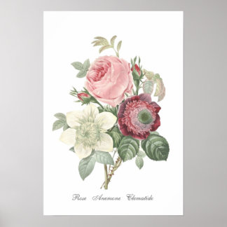 Rose und Anemone Poster
