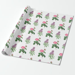 Rose und Botanische Lilac-Printwerbung Geschenkpapier