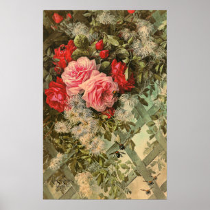 Rose und Clematis auf einem Trellis-Poster Poster