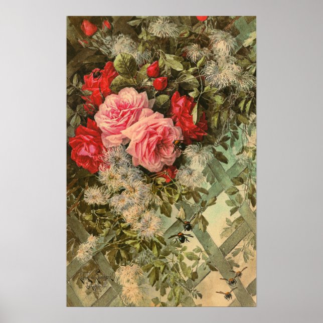 Rose und Clematis auf einem Trellis-Poster Poster (Vorne)