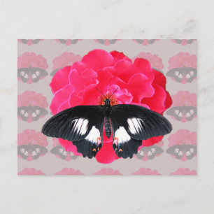 Rose und Frack Postkarte