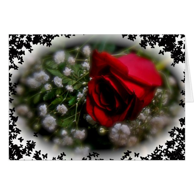 Rose und Gipskraut (Vorderseite (Horizontal))