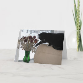 Rose und Katzen Feiertagskarte