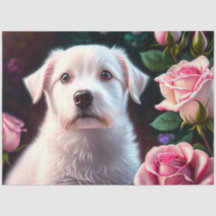 Rose und kleine Hundesammlung