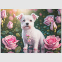 Rose und kleine Hundesammlung