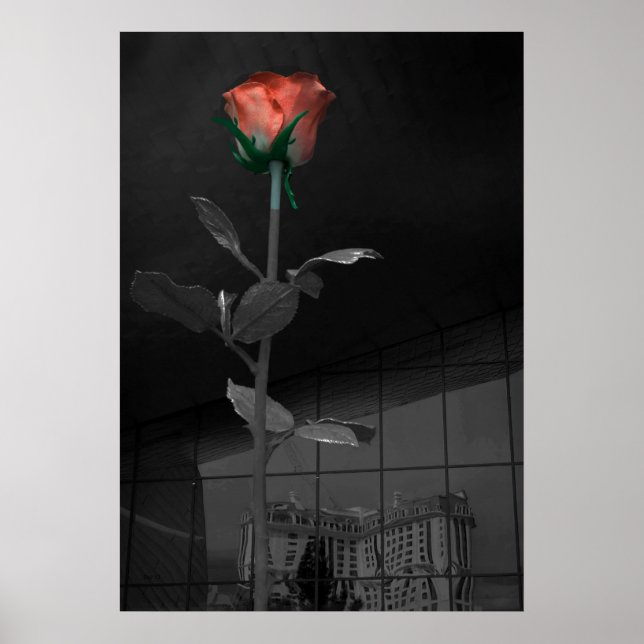 Rose und Reflektion, Las Vegas Poster (Vorne)