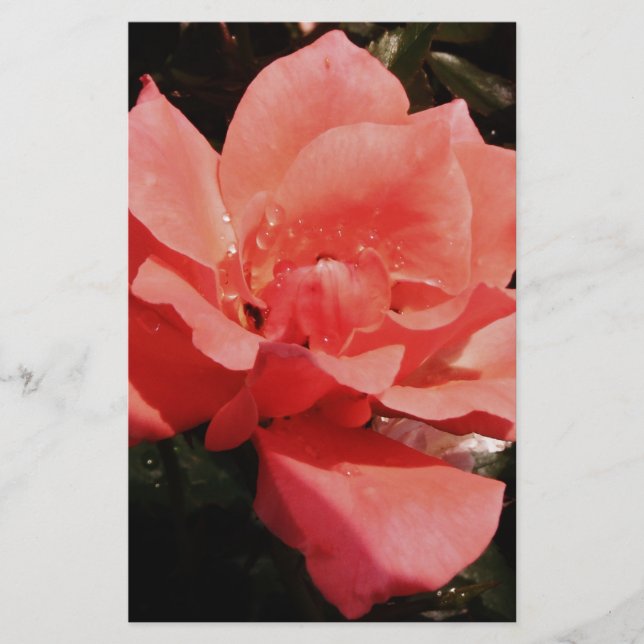 Rose und Tauchen Briefpapier (Vorderseite)