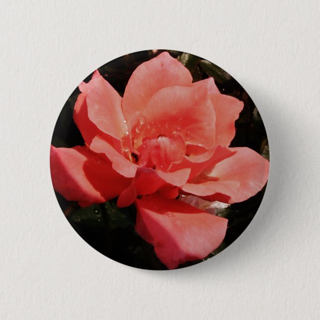 Rose und Tauchen Button (Vorderseite)