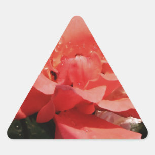 Rose und Tauchen Dreieckiger Aufkleber