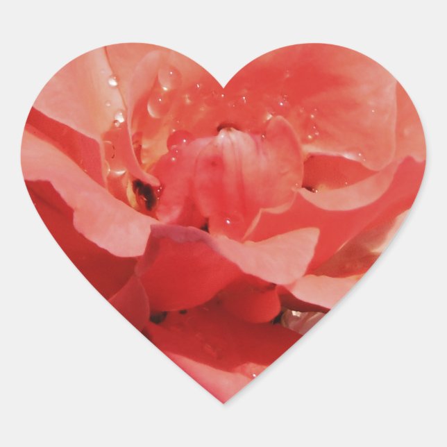 Rose und Tauchen Herz-Aufkleber (Vorderseite)