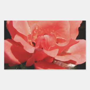 Rose und Tauchen Rechteckiger Aufkleber