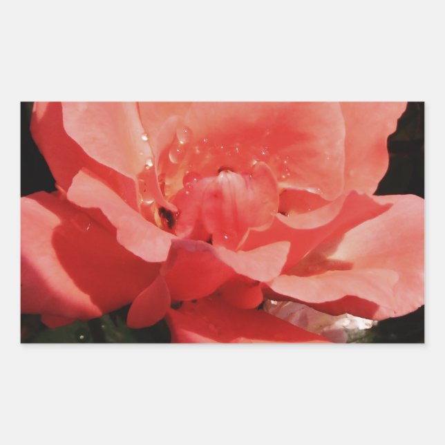 Rose und Tauchen Rechteckiger Aufkleber (Vorderseite)