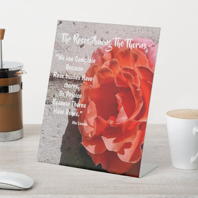 Rose unter den Garnen Sockelschild (In SItu)