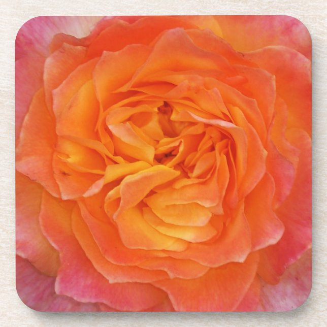 Rose Untersetzer (Vorderseite)