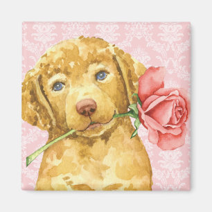 Rose Valentine Chesapeake Bay Retriever Magnet