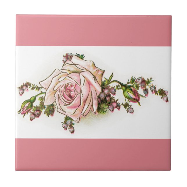 Rose victorien de rose et carreau de céramique de (Devant)