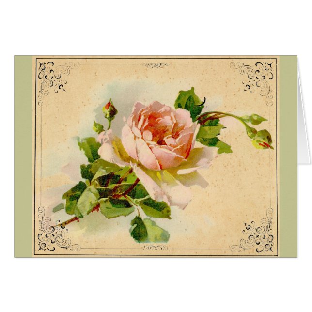 Rose victorienne (Devant horizontal)
