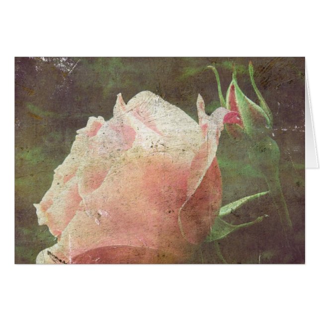 Rose vintage (Devant horizontal)