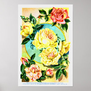 Rose Vintage Blume Poster