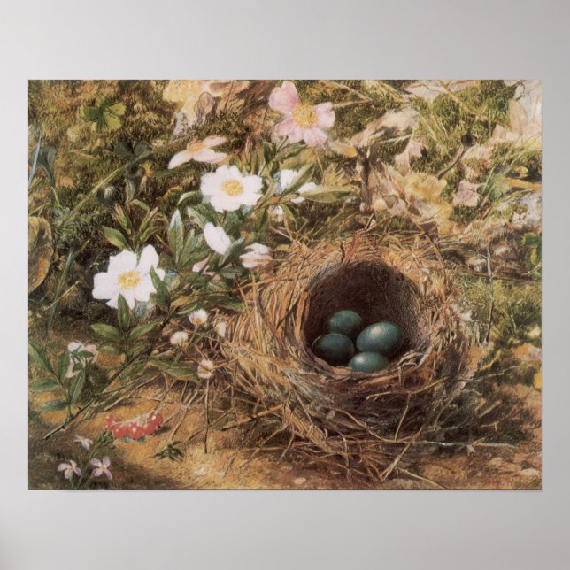 Rose von Bird's Nest and Dog von John William Hill Poster (Vorne)