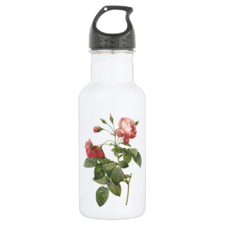 Rose von Redouté Edelstahlflasche