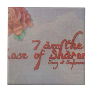 Rose von Sharon Fliese