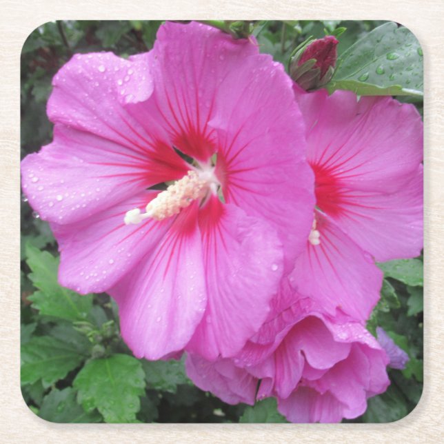Rose von Sharon Floral Fotografy Rechteckiger Pappuntersetzer (Vorderseite)