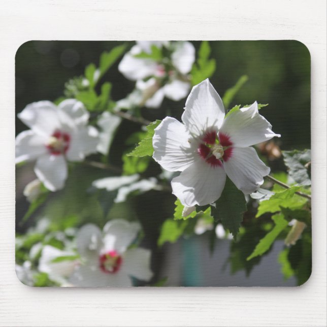 Rose von Sharon Mouse Pad Mousepad (Vorne)