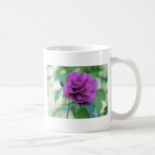 Rose von Sharon-Tasse Kaffeetasse