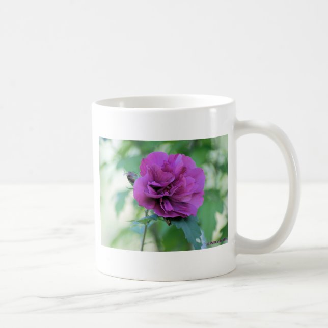 Rose von Sharon-Tasse Kaffeetasse (Rechts)