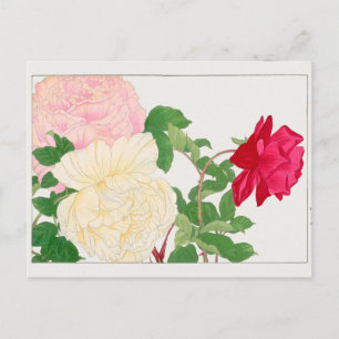 Rose von Tanigami Konan Postkarte