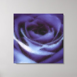 Rose von Weichlavender Leinwanddruck