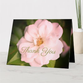 Rose White Garden Karte