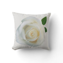Rose White