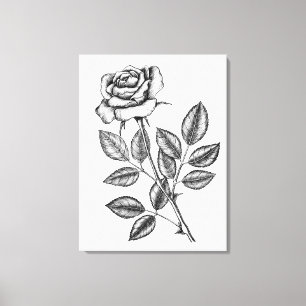 ROSE ZEICHN 2 LEINWANDDRUCK