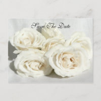 Rose zu Linen