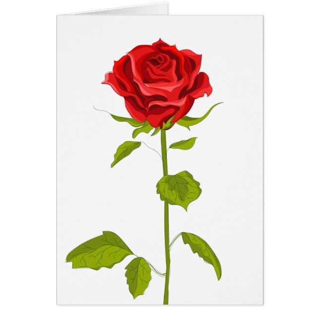 Rose zur Blume der Blumenzucht Hochzeitsfeier Lieb (Vorne)