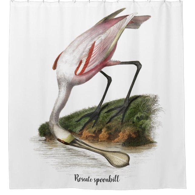 Roseate Löffelstiel Malerei Klein Duschvorhang (Vorderseite)