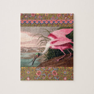 Roseate Spoonbill Audubon Bird Wildlife