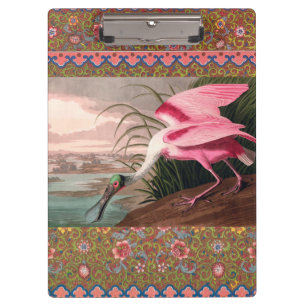 Roseate Spoonbill Audubon Bird Wildlife Klemmbrett