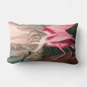 Roseate Spoonbill Audubon Bird Wildlife Lendenkissen