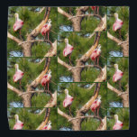 Roseate Spoonbill - Bandana - Tld Halstuch<br><div class="desc">Roseate Spoonbill - Bandana - Tld</div>